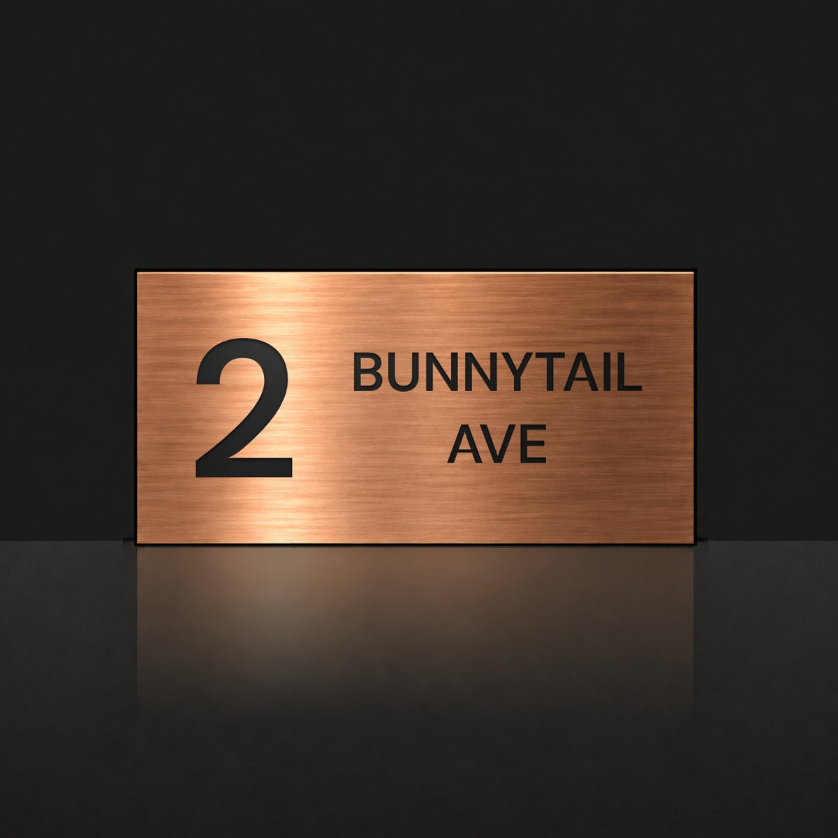 Brushed copper house number and street name sign with a brushed metal look, The Maleny, reading 2 Bunnytail Ave in black lettering.