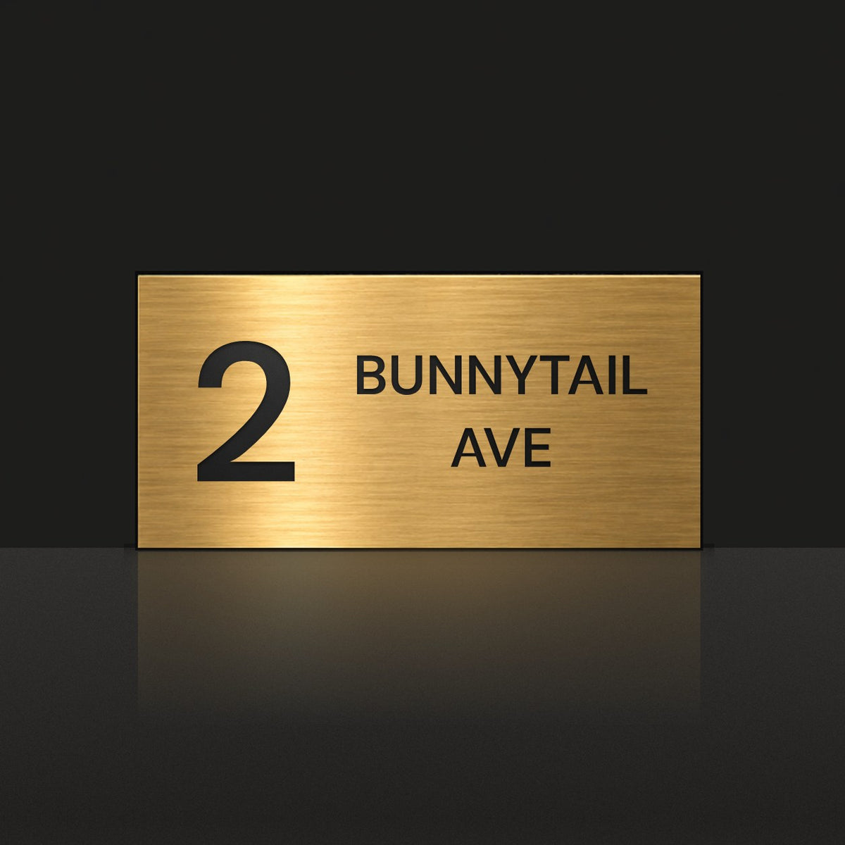 Brushed gold house number and street name sign with a brushed metal look, The Maleny, reading 2 Bunnytail Ave in black lettering.