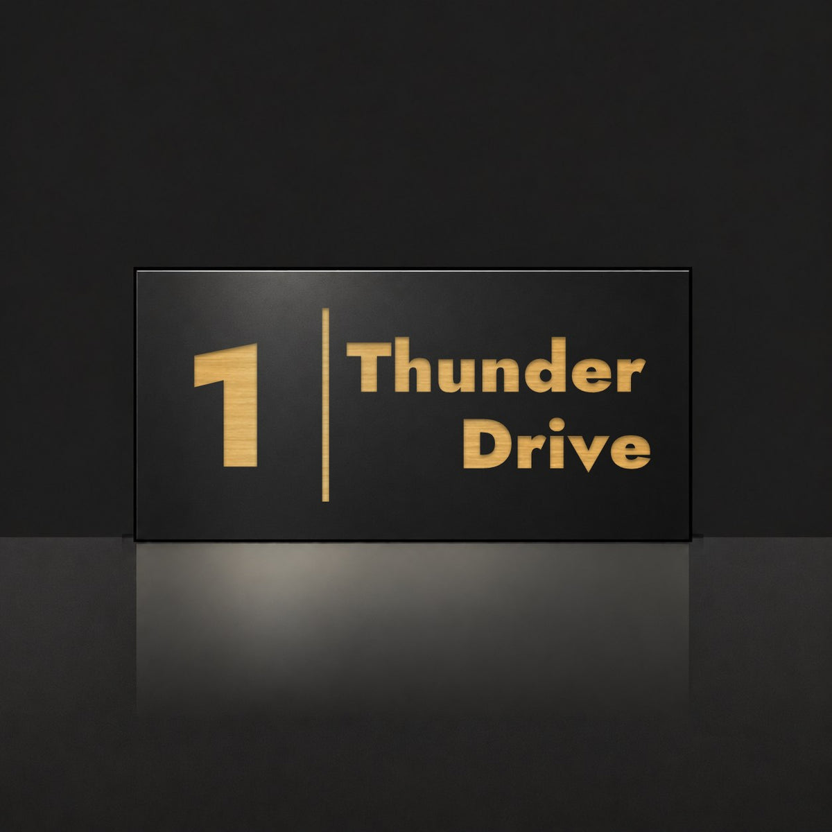 Brushed gold house number and street name sign with a brushed metal look, The Coolum, black face reading 1 Thunder Drive in gold lettering, with a dividing line.